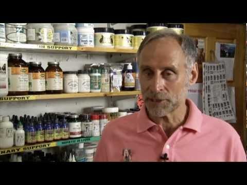 Whiskers Holistic Pet Care - NYC Store